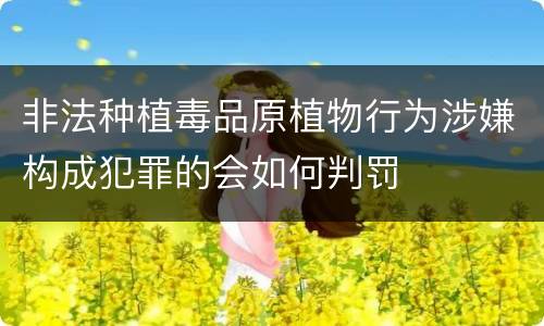非法种植毒品原植物行为涉嫌构成犯罪的会如何判罚