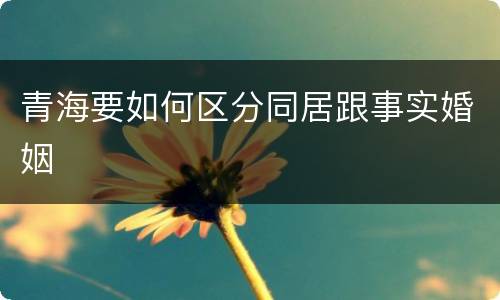 青海要如何区分同居跟事实婚姻