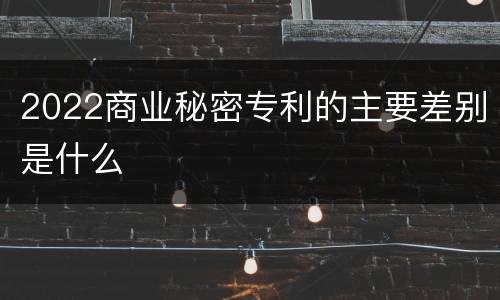 2022商业秘密专利的主要差别是什么