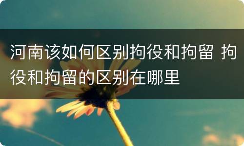 河南该如何区别拘役和拘留 拘役和拘留的区别在哪里