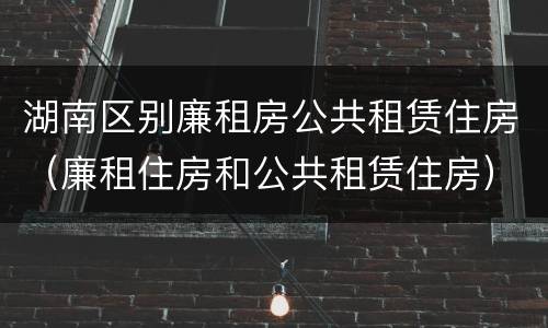 湖南区别廉租房公共租赁住房（廉租住房和公共租赁住房）