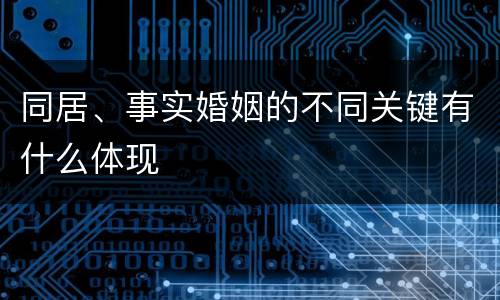 同居、事实婚姻的不同关键有什么体现