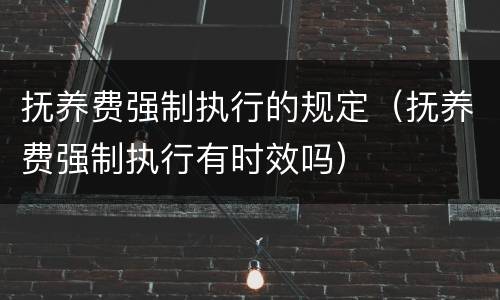 抚养费强制执行的规定（抚养费强制执行有时效吗）
