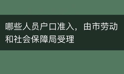 哪些人员户口准入，由市劳动和社会保障局受理