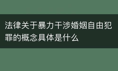 法律关于暴力干涉婚姻自由犯罪的概念具体是什么