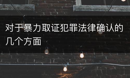 对于暴力取证犯罪法律确认的几个方面