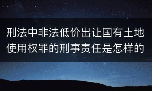 刑法中非法低价出让国有土地使用权罪的刑事责任是怎样的