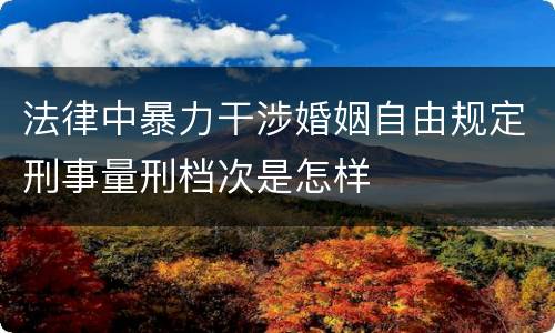 法律中暴力干涉婚姻自由规定刑事量刑档次是怎样