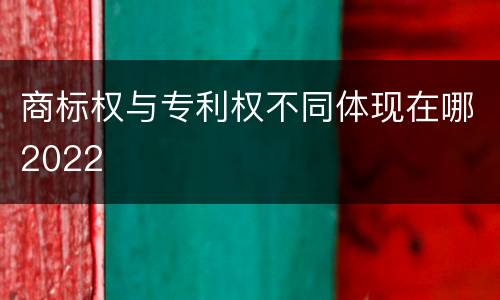 商标权与专利权不同体现在哪2022