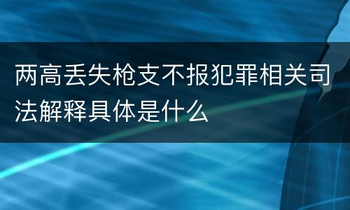 两高丢失枪支不报犯罪相关司法解释具体是什么