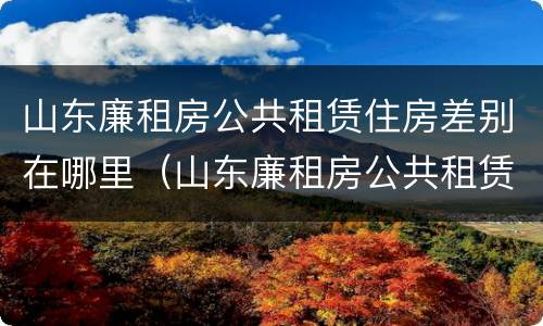 山东廉租房公共租赁住房差别在哪里（山东廉租房公共租赁住房差别在哪里查）
