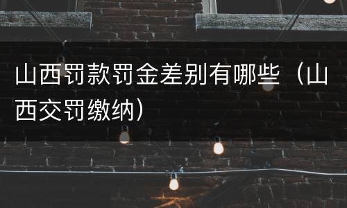 山西罚款罚金差别有哪些（山西交罚缴纳）