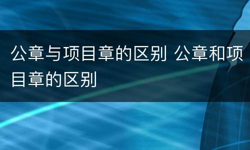 公章与项目章的区别 公章和项目章的区别