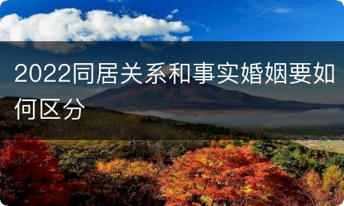 2022同居关系和事实婚姻要如何区分