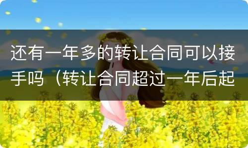 还有一年多的转让合同可以接手吗（转让合同超过一年后起诉有效）