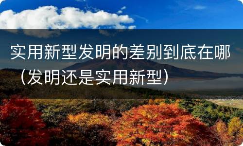 实用新型发明的差别到底在哪（发明还是实用新型）