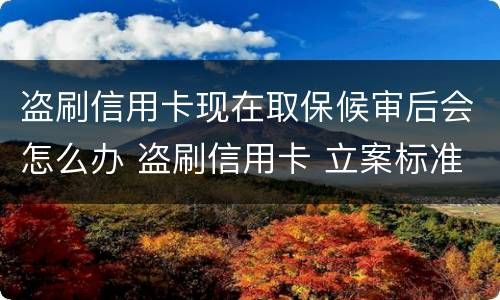盗刷信用卡现在取保候审后会怎么办 盗刷信用卡 立案标准