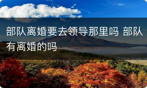 部队离婚要去领导那里吗 部队有离婚的吗