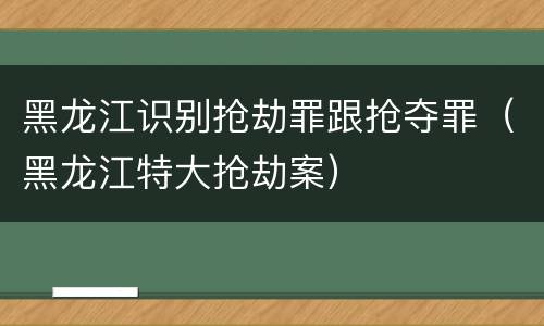 黑龙江识别抢劫罪跟抢夺罪（黑龙江特大抢劫案）