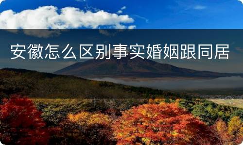 安徽怎么区别事实婚姻跟同居