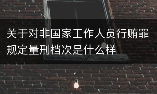 关于对非国家工作人员行贿罪规定量刑档次是什么样