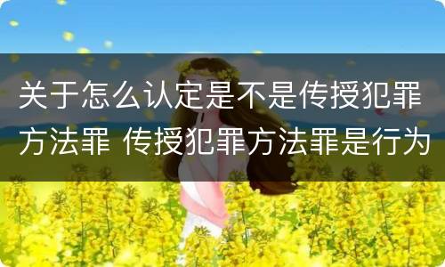 关于怎么认定是不是传授犯罪方法罪 传授犯罪方法罪是行为犯吗