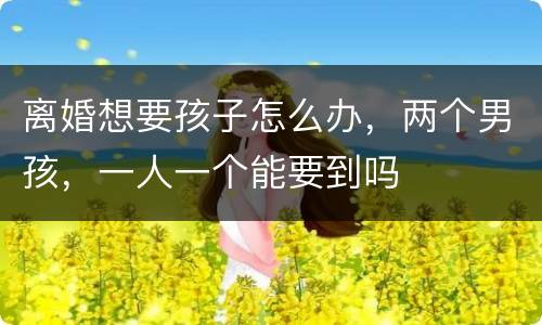 离婚想要孩子怎么办，两个男孩，一人一个能要到吗