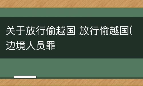 关于放行偷越国 放行偷越国(边境人员罪
