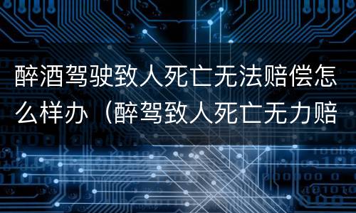 醉酒驾驶致人死亡无法赔偿怎么样办（醉驾致人死亡无力赔偿）
