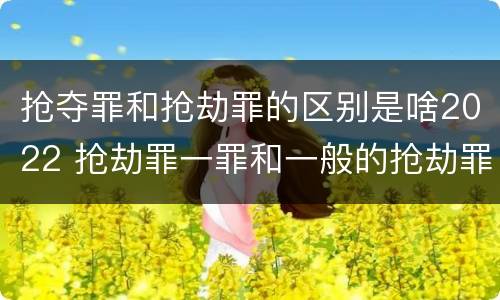 抢夺罪和抢劫罪的区别是啥2022 抢劫罪一罪和一般的抢劫罪