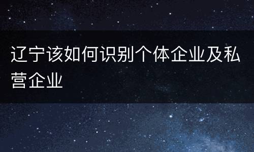 辽宁该如何识别个体企业及私营企业