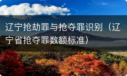 辽宁抢劫罪与抢夺罪识别（辽宁省抢夺罪数额标准）