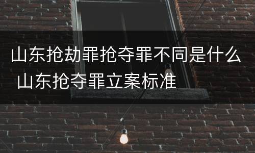山东抢劫罪抢夺罪不同是什么 山东抢夺罪立案标准
