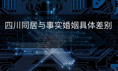 四川同居与事实婚姻具体差别