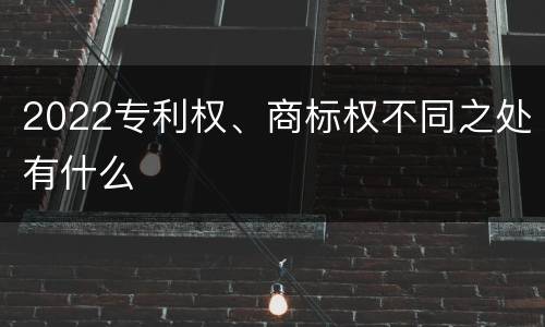 2022专利权、商标权不同之处有什么