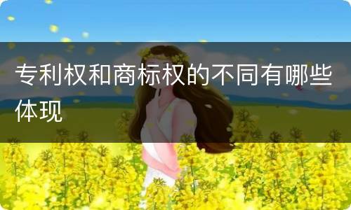 专利权和商标权的不同有哪些体现