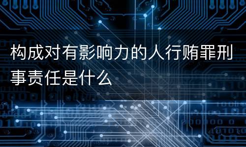 构成对有影响力的人行贿罪刑事责任是什么