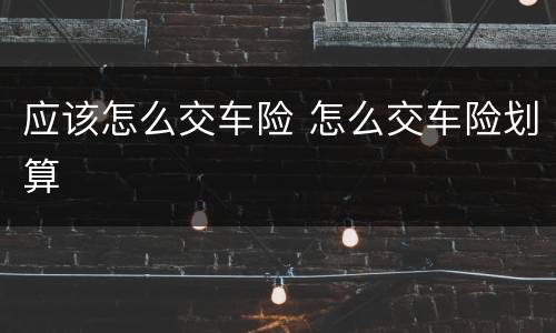 应该怎么交车险 怎么交车险划算
