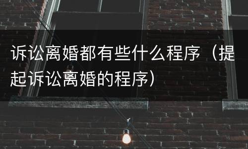 诉讼离婚都有些什么程序（提起诉讼离婚的程序）