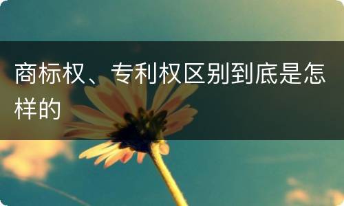 商标权、专利权区别到底是怎样的