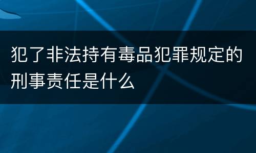 犯了非法持有毒品犯罪规定的刑事责任是什么