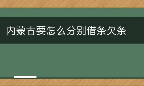 内蒙古要怎么分别借条欠条