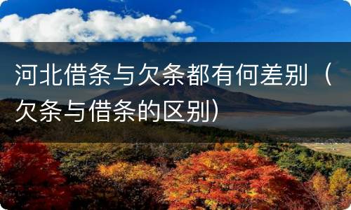 河北借条与欠条都有何差别（欠条与借条的区别）