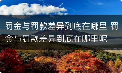 罚金与罚款差异到底在哪里 罚金与罚款差异到底在哪里呢