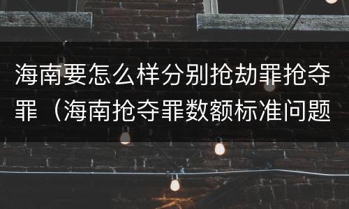 海南要怎么样分别抢劫罪抢夺罪（海南抢夺罪数额标准问题的规定）