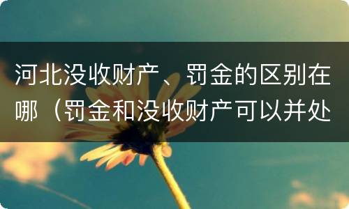 河北没收财产、罚金的区别在哪（罚金和没收财产可以并处吗）