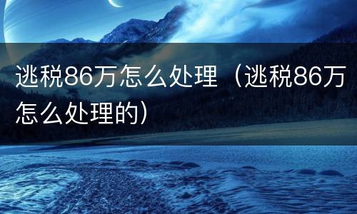 逃税86万怎么处理（逃税86万怎么处理的）