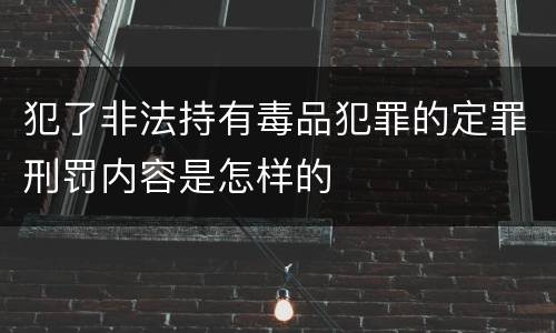 犯了非法持有毒品犯罪的定罪刑罚内容是怎样的