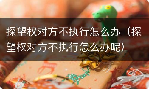 探望权对方不执行怎么办（探望权对方不执行怎么办呢）