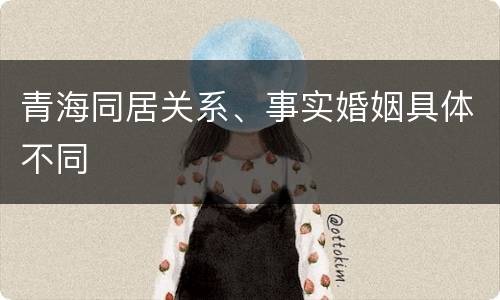 青海同居关系、事实婚姻具体不同